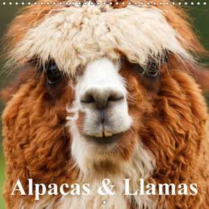 Alpacas & Llamas (Wall Calendar 2018 300 × 300 mm Square) de Elisabeth Stanzer