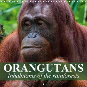 Orangutans Inhabitants of the rainforests (Wall Calendar 2018 300 × 300 mm Square) de Elisabeth Stanzer