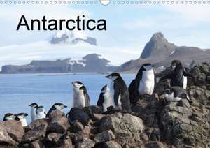 Antarctica (UK - Version) (Wall Calendar 2020 DIN A3 Landscape) de Roland Brack