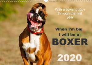 When I'm big I will be a Boxer / UK-Version (Wall Calendar 2020 DIN A3 Landscape) de Kerstin Mielke