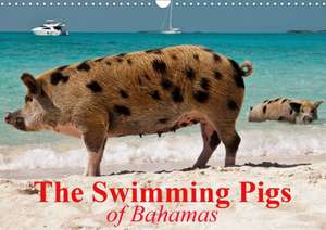 The Swimming Pigs of Bahamas (Wall Calendar 2020 DIN A3 Landscape) de Elisabeth Stanzer