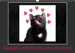 Quelles mimiques ces chatons (Calendrier mural 2020 DIN A3 horizontal) de Kathy Mahevo