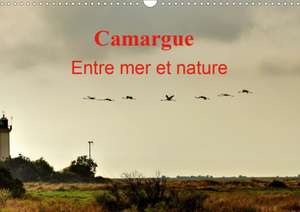 Camargue Entre mer et nature (Calendrier mural 2020 DIN A3 horizontal) de Didier Sibourg