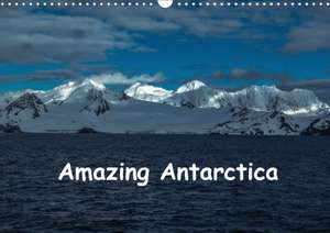 Amazing Antarctica (Wall Calendar 2020 DIN A3 Landscape) de Sharon Poole