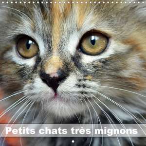 Petits chats très mignons (Calendrier mural 2020 300 × 300 mm Square) de Jennifer Chrystal