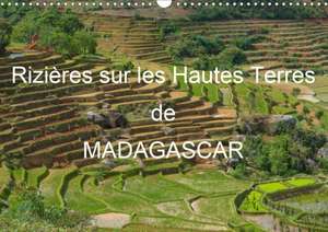 Rizières sur les Hautes Terres de Madagascar (Calendrier mural 2020 DIN A3 horizontal) de Francis Goussard