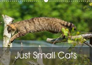 Just Small Cats (Wall Calendar 2020 DIN A3 Landscape) de k. A. Dalyn