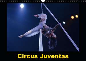 Circus Juventas (Calendrier mural 2020 DIN A3 horizontal) de Alain Hanel