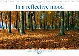 In a reflective mood (Wall Calendar 2020 DIN A4 Landscape) de Terry Hewlett