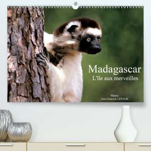 Madagascar L'île aux merveilles(Premium, hochwertiger DIN A2 Wandkalender 2020, Kunstdruck in Hochglanz) de Jean François Lepage ©