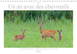 Un an avec des chevreuils (Calendrier mural 2020 DIN A4 horizontal) de Michael Breuer