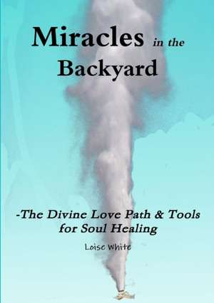 Miracles in the Backyard - The Divine Love Path & Tools for Soul Healing de Loise White