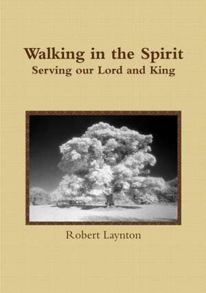 Walking in the Spirit de Robert Laynton