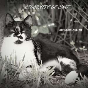 Rencontre de Chat de Bonneau, Laurent