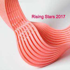 Rising Stars 2017 de New Ashgate Gallery