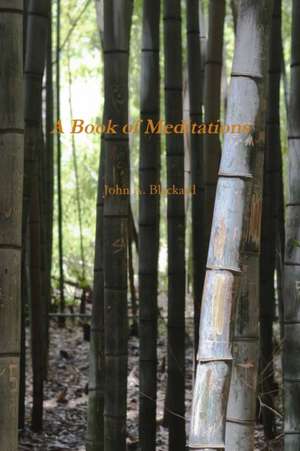 A Book of Meditations de John a. Blackard