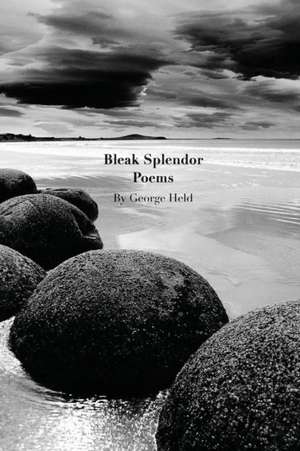 Bleak Splendor de Grorge Held