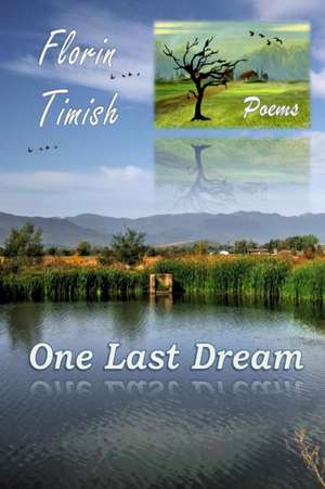 One Last Dream: Poems de Florin Timish