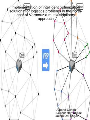 Implementation of intelligent optimization solutions for logistics problems in the north-east of Veracruz de Alberto Ochoa