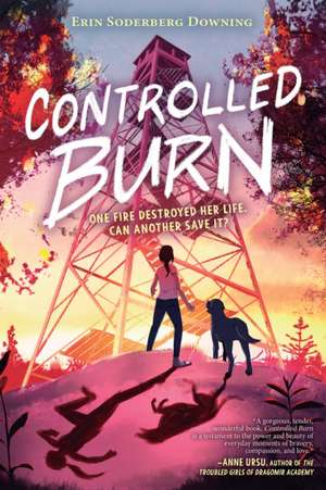 Controlled Burn de Erin Soderberg Downing