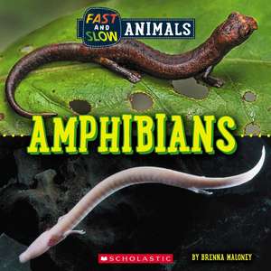 Amphibians (Wild World: Fast and Slow Animals) de Brenna Maloney