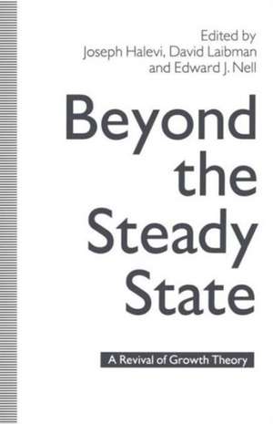 Beyond the Steady State: A Revival of Growth Theory de Joseph Halevi