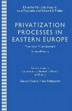 Privatization Processes in Eastern Europe de Mario Baldassarri