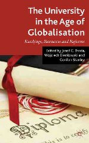 The University in the Age of Globalization: Rankings, Resources and Reforms de W. Bienkowski