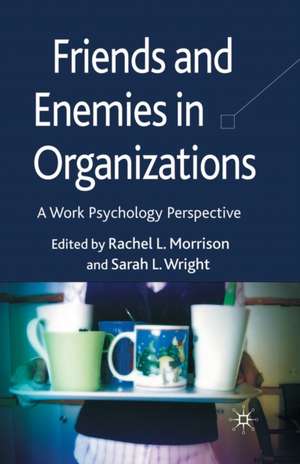 Friends and Enemies in Organizations: A Work Psychology Perspective de R. Morrison