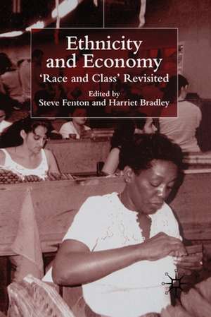 Ethnicity and Economy: 'Race and Class' Revisited de S. Fenton