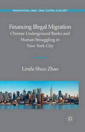 Financing Illegal Migration de Linda Zhao