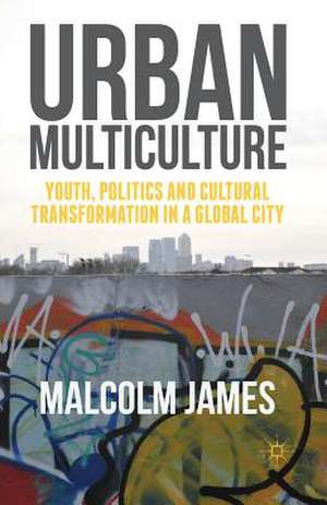 Urban Multiculture: Youth, Politics and Cultural Transformation in a Global City de Malcolm James