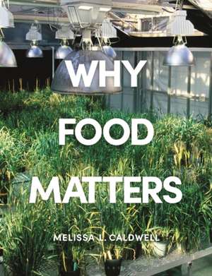 Why Food Matters: Critical Debates in Food Studies de Melissa Caldwell