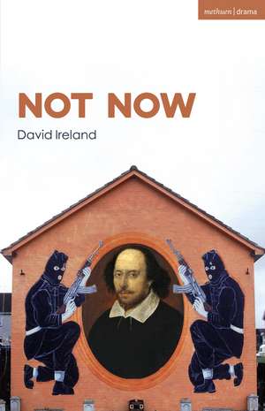 Not Now de David Ireland