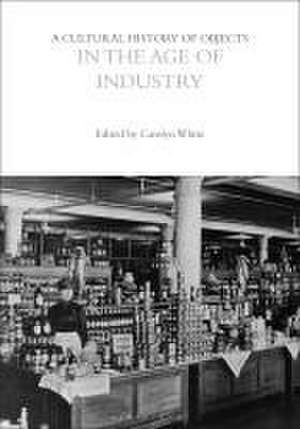 A Cultural History of Objects in the Age of Industry de Dr Carolyn White