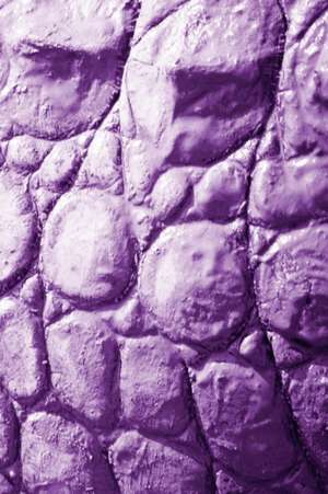 Alive! Crocodile Skin - Violet Duotone - Photo Art Notebooks (6 X 9 Series) de Eva-Lotta Jansson