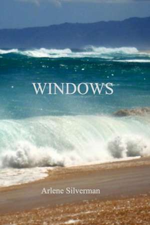 Windows de Arlene Silverman