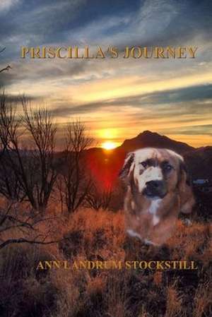 Priscilla's Journey de Ann Landrum Stockstill