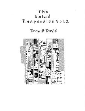 The Salad Rhapsodies Vol. 2 de Drew B. David