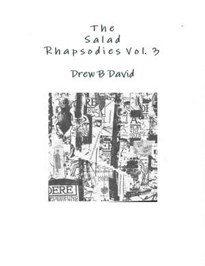 The Salad Rhapsodies, Volume 3 de Drew B David