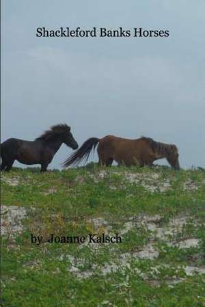 Shackleford Banks Horses de Joanne Kalsch