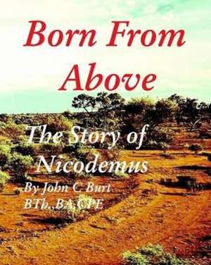 Born from Above de John C. Burt