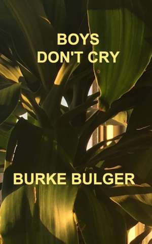 Boys Don't Cry de Burke Bulger