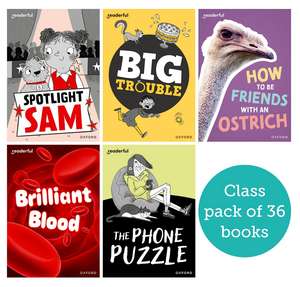 Readerful Rise: Oxford Reading Level 7: Class Pack A de Rob Alcraft