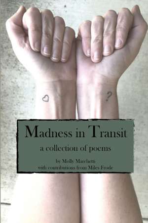 Madness in Transit de Molly Marchetti