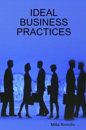 Ideal Business Practices de Mitta Xinindlu