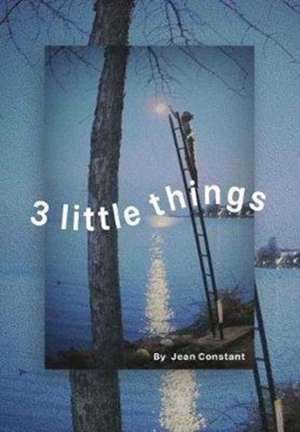 3 little things de Jean Constant