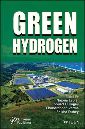 Green Hydrogen de Najoua Labjar