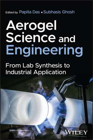 Aerogel Science and Engineering de Papita Das