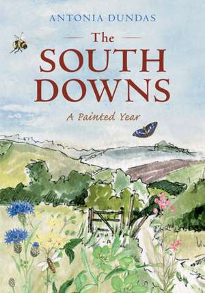 The South Downs de Antonia Dundas